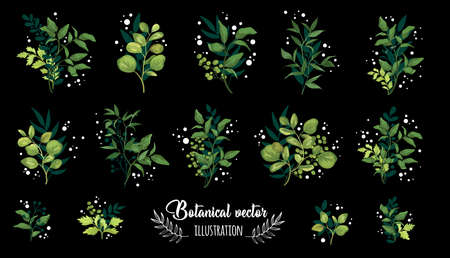 Collection romantic green watercolor leaves. Elegant plants for design, brand name, wedding invitation thanks card on black backgroundのイラスト素材