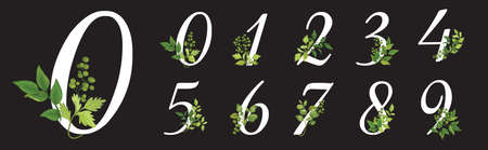 Collection romantic white numbers with drawn watercolor leaves. Elegant digits for book design, brand name, wedding invitation thanks card on black backgroundのイラスト素材