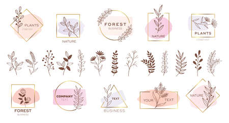 Set of modern flower logo design with pastel colors.のイラスト素材