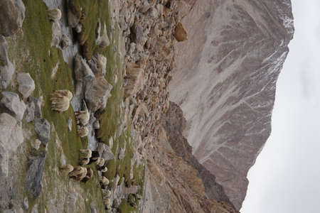 Himalayan landscape. Himalayas, Himachal Pradesh, Indiaの写真素材