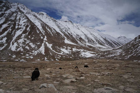 Tien Shan mountains, Ak-Shyrak Region, Kyrgyzstan