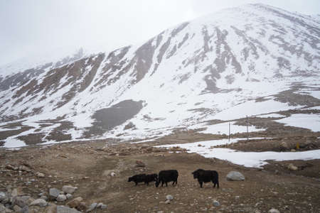 Valley of Himalayan mountains with mountain lake on track to Everest base camp. High mountains with...