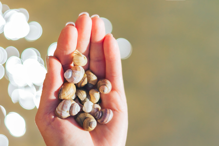 Empty snail shell in hand. Skew shells in woman's hand. Colorful abandoned snail shellの写真素材