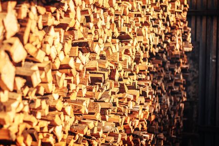 wall firewood , Background of dry chopped firewood logs in a pileの写真素材