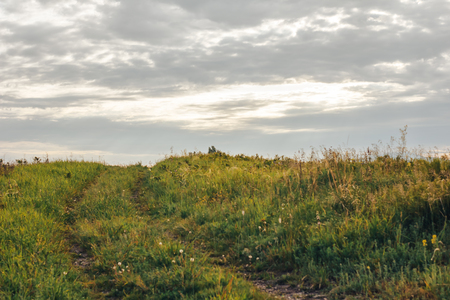 green way in sky, grey sky, cloudly, natureの写真素材