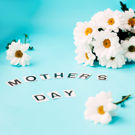 camomile flowers. Beautiful white daisy flower isolated. For greeting cards and invitations of wedding, birthday, mother's day and other seasonal holidayの写真素材