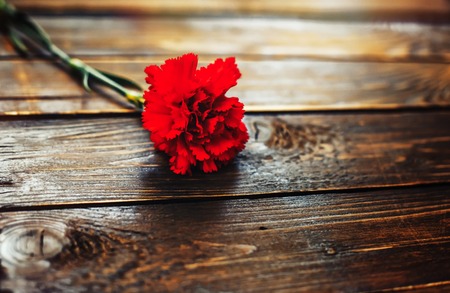 Carnations on a wooden background, for mother, happy dayの写真素材