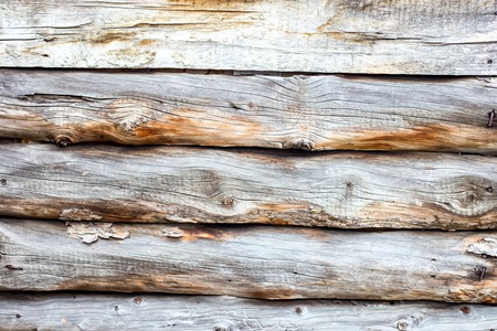 Shield with a large number of parallel wooden logs textureの写真素材