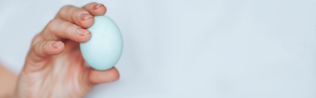 hands mature woman hold one blue easter egg in hand long bannerの写真素材