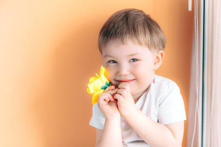 A little man kid toddler holding a yellow rose and shy on orange background.の写真素材