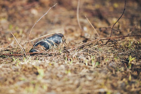 Empty brown glass bottle lying on grass in early spring, polluted, conservancy. rubbish after last...