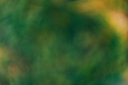 Sunny abstract green nature background of grass, blurred background, unfocused.の写真素材