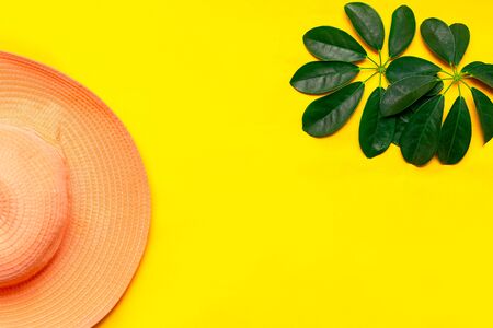 hat and green leaf tropical flatlay on yellow color background, top view.の写真素材