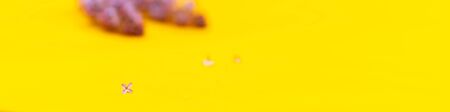 Blossoming lilac flowers on color background, closeup. Space for text selected focus.