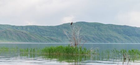 sea landscape with mountines and canes, blue sky with clouds, cloudly without sunの写真素材