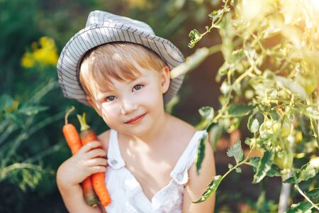 cute boy in hat and casual clothes sitting around tomatoes ang looking at camera, kid model posing in garden.の写真素材