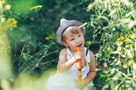 baby farmer with carrots and cacual clother sitting in green grass.の写真素材