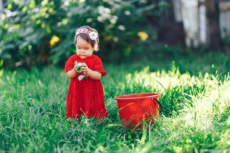 baby girl in red dress eating pear in summer garden near red bucketの写真素材