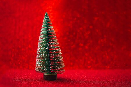 small christmas treeの写真素材