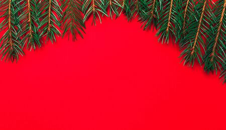 christmas tree top viewの写真素材