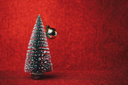 small christmas treeの写真素材