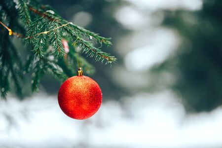 Christmas balls on tree outdoorの写真素材