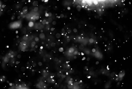 Snow on black backgroundの写真素材