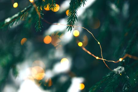Christmastree background with lightsの写真素材