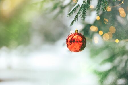 Christmas balls on tree outdoorの写真素材