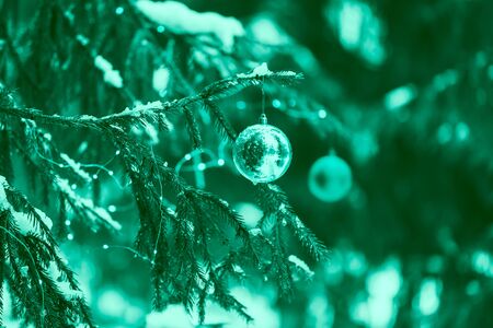 Christmas balls on tree outdoorの写真素材