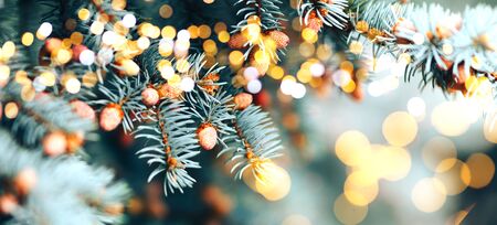 Christmas tree backgroundの写真素材