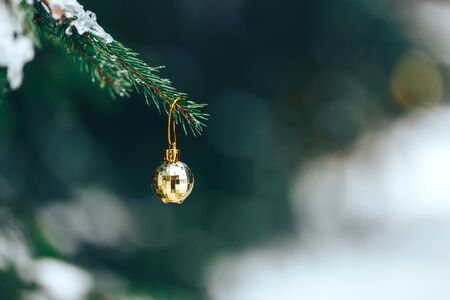 Christmas balls on tree outdoorの写真素材