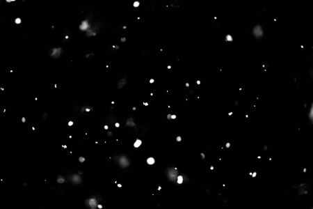 Snow on black backgroundの写真素材