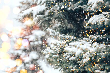 Christmas tree backgroundの写真素材