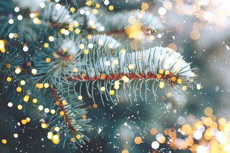 Christmas tree backgroundの写真素材