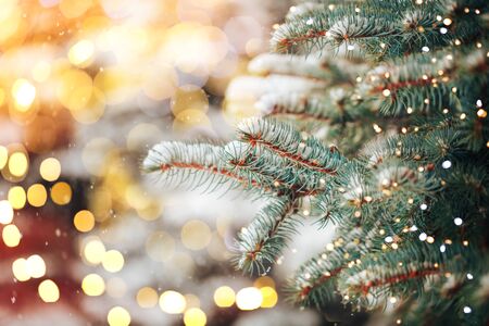 Christmas tree backgroundの写真素材