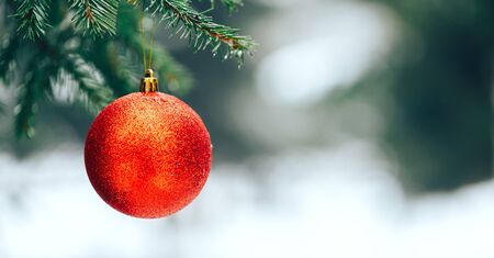 Christmas balls on tree outdoorの写真素材