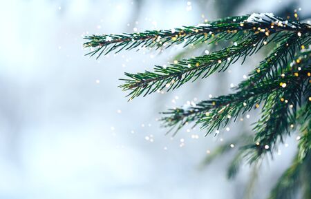 Christmas tree background
