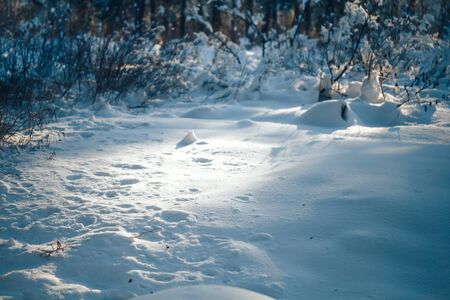 white snow texture with shadows, selected focus, macro photo.の写真素材