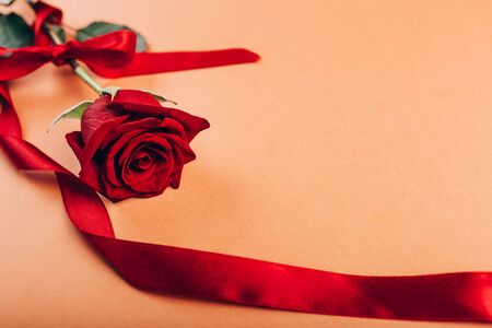 Red rose on red backgroundの写真素材