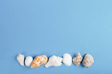 Seashell collection, shells in line on blue background, space for text.