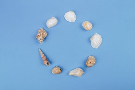 Seashell collection lying around circle shape, space for text on blue background, flat layの写真素材