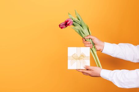 gift and tulips in male handsの写真素材