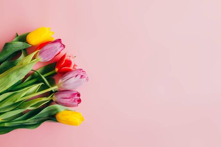 beautiful multi-colored bouquet of tulips on a pink background spring time, Happy mother's dayの写真素材
