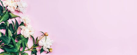 Beautiful delicate peonies on a pink background, blooming flowers, March 8, mother's day, birthday present.の写真素材