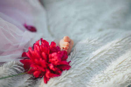 Little foot of a newborn baby near red flowerの写真素材