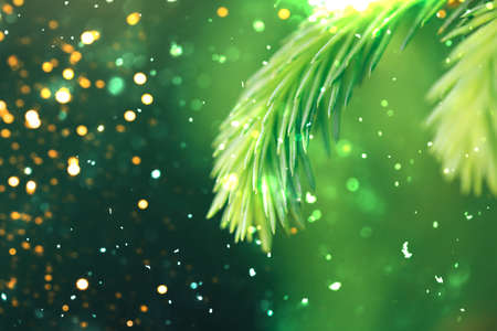 Christmas tree outdoor with snow, lights bokeh around, and snow falling, Christmas atmosphere. macro photo of light freen fir branches.の写真素材