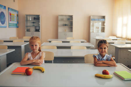 Two schoolgirls sit at a school desk and discuss the purpose of the lesson.の写真素材