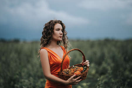 A girl in an orange dress with a basket walking along the field against the background of grass and clouds.の写真素材