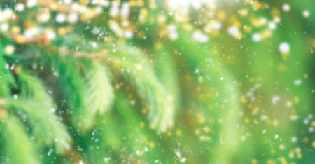 Christmas tree outdoor with snow, lights bokeh around, and snow falling, Christmas atmosphere. macro photo of light freen fir branches. blurred photoの写真素材